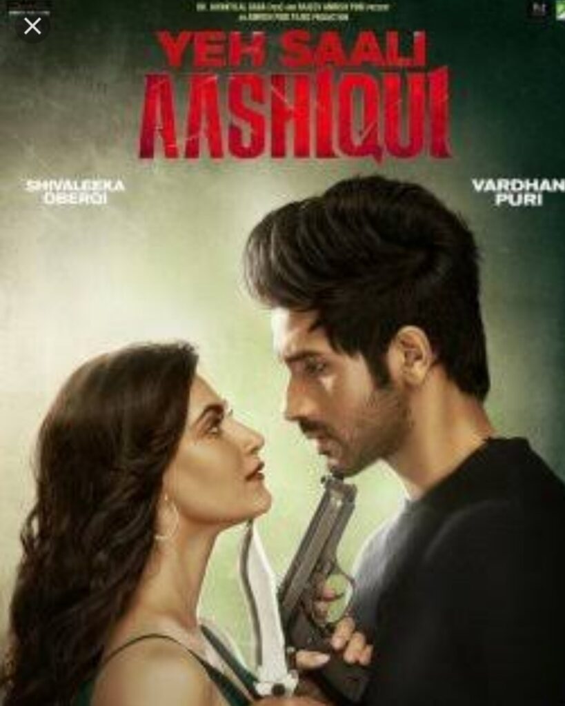 Yeh Saali Aashiqui review popcorn reviewss