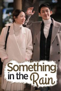 Something in the Rain 2018 Korean Romance Series Review