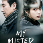 My Mister 2018 Korean Netflix Series Review