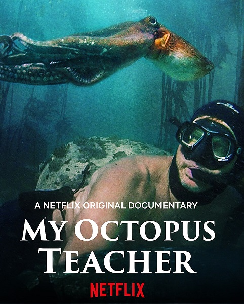 My Octopus Teacher 2020 English Documentary Review