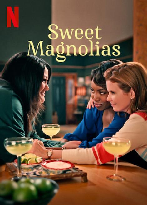 Sweet Magnolias 2020 Romantic English Series Review