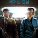 Decision To Leave 2022 Crime Mystery Korean Movie Review