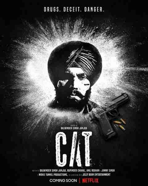 Cat 2022 Crime Thriller Hindi Series Review