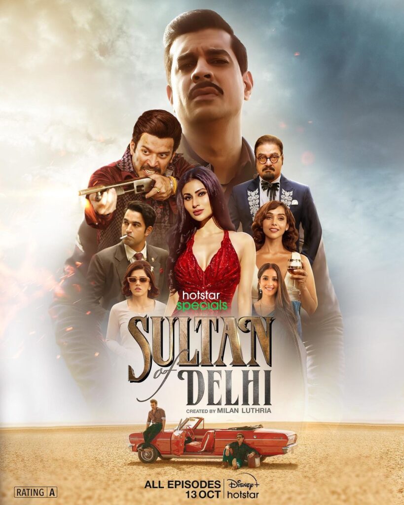 Sultan Of Delhi 2023 Action Hindi Series Review