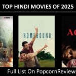 Top Hindi Movies of 2025