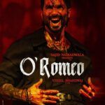 O'Romeo 2026 Action Crime Romance Hindi Movie Review